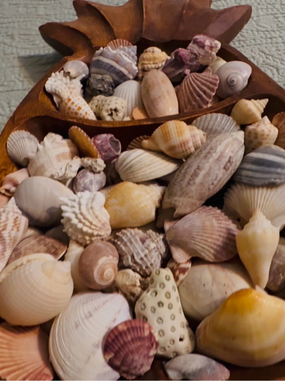 Hand carved wood pineapple tray, with local FL shells. - Picture 8 of 8